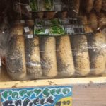 Trader Joe's Poppyseed Bagels
