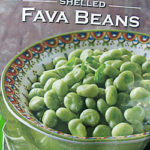 Trader Joe's Italian Shelled Fava Beans