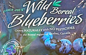 Trader Joe's Wild Boreal Blueberries