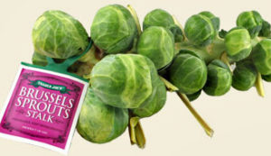 Trader Joe's Brussels Sprouts Stalk