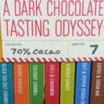 Trader Joe's Dark Chocolate Tasting Odyssey