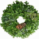 Trader Joe's 22" Wreath