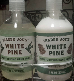Trader Joe's White Pine Hand Soap & Lotion