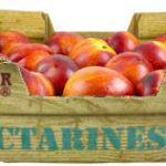 Trader Joe's Nectarines