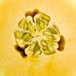 Trader Joe's Orange Flesh Honeydew Melon