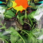 Trader Joe's Sorrento Baby Arugula Blend