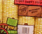 Trader Joe's Sweet Fresh Corn on the Cob