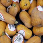 Trader Joe's Organic Honeynut Squash