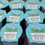 Trader Joe's Paperwhite Bulb Kit