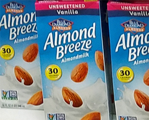 Almond Breeze Unsweetened Vanilla Almond Milk