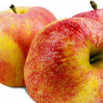 Trader Joe's Gala Apples