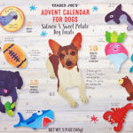 Trader Joe's Advent Calendar For Dogs