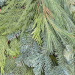 Trader Joe's 7 Foot Pine Garland