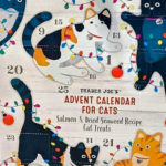 Trader Joe's Advent Calendar for Cats