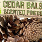 Trader Joe's Cedar Balsam Scented Pinecones
