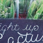 Trader Joe's Light Up Cactus