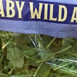 Trader Joe's Baby Wild Arugula