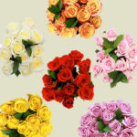 Trader Joe's Roses