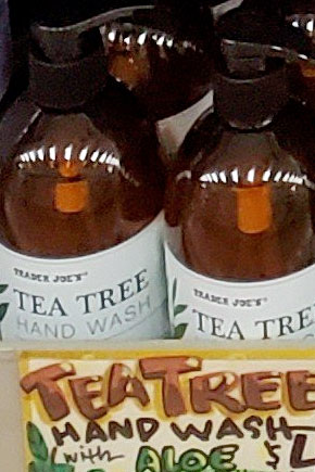 Trader Joe’s Tea Tree Hand Wash Soap with Aloe Reviews