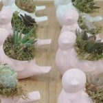 Trader Joe's Bird Planter Succulents