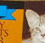 Trader Joe's Turkey & Giblets Dinner Premium Cat Food