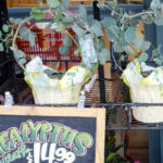 Trader Joe's Eucalyptus Wreath
