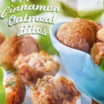 Trader Joe's Apple Cinnamon Oatmeal Bites