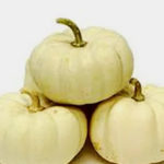 Trader Joe's Fall Fantasy Mixed Pumpkins