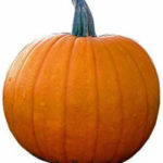 Trader Joe's Orange Pumpkin