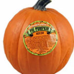 Trader Joe's Pie Pumpkins