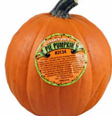 Trader Joe’s Pie Pumpkins Reviews