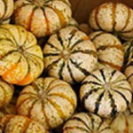 Trader Joe's Mini Tiger Striped Pumpkins
