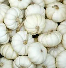 Trader Joe’s Mini White Pumpkins Reviews