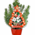 Trader Joe's DIY Holiday Tree with Lights