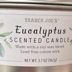 Trader Joe's Eucalyptus Scented Candle