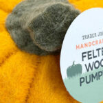 Trader Joe's Felted Wool Pumpkin