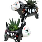 Trader Joe's Day of the Dead Cat and Dog Succulent