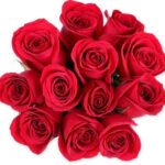 Trader Joe's Dozen Red Roses