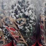 Trader Joe's Flocked Euro Tree
