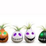 Trader Joe's Light Up Tillandsia Ghouls